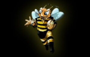 Les U15 au tournoi des Frelons...