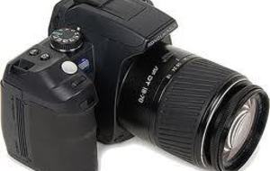 photos de la Demi...