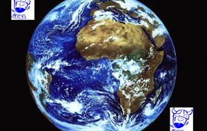 Le RCY à travers le Monde...