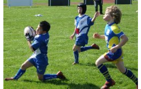 Tournoi école de rugby