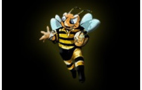 Les U15 au tournoi des Frelons...