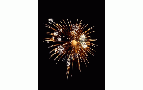 BONNE ANNÉE 2020...